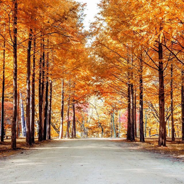 Nami Island: