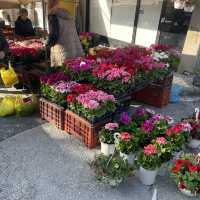 เล่นตลาดเช้าที่ kalambaka
