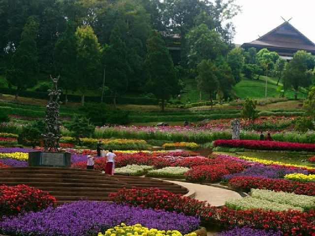 ชมดอกไม้สวยๆ @สวนแม่ฟ้าหลวง
