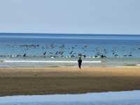【父母ヶ浜】