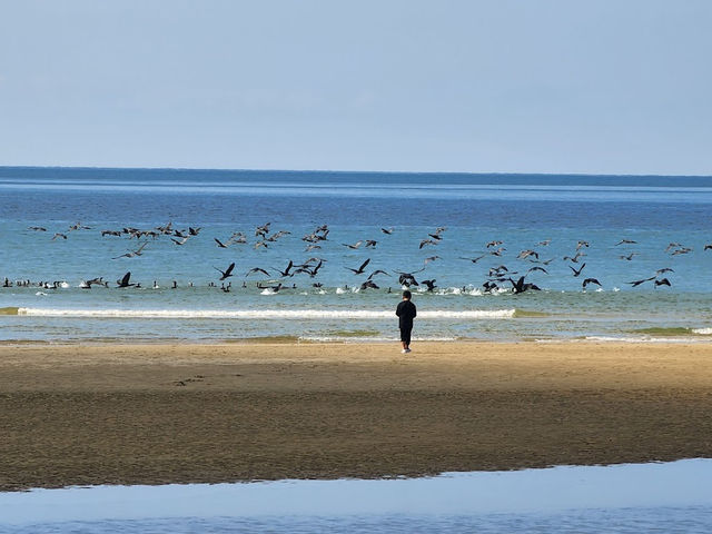 【父母ヶ浜】
