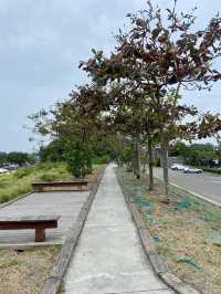 🥰🤍白色浪漫～南區必去國家生態公園🏞️🌳