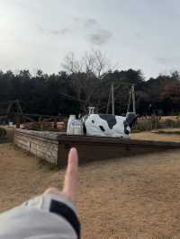 富士山超有名打卡點去一個地方就能拍到 - 馬飼野牧場 🐮
