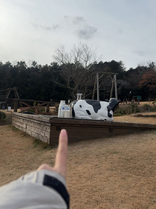 富士山超有名打卡點去一個地方就能拍到 - 馬飼野牧場 🐮