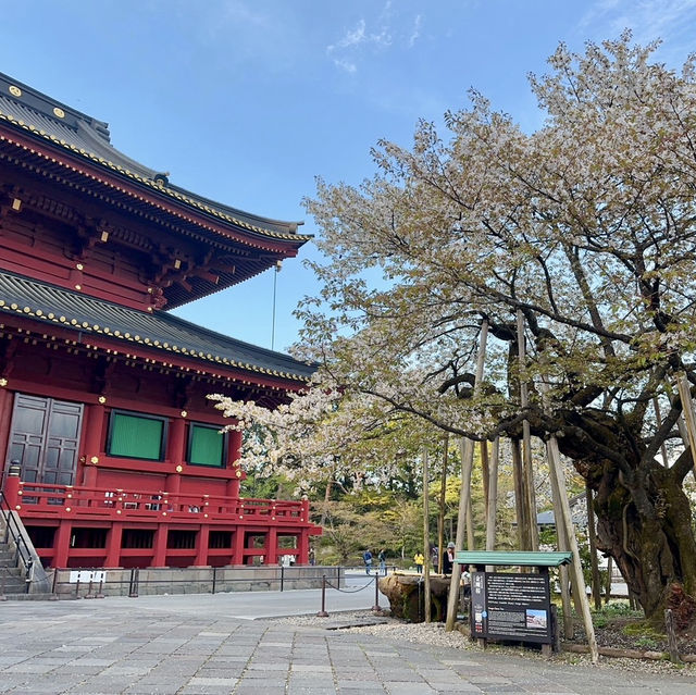 不一樣的日本獨遊之旅 由東京玩至山形縣