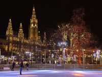 Ring in the New Year in Elegant Vienna