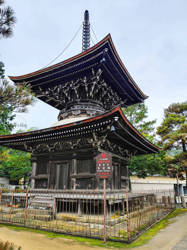 日本三大名景之一～天橋立橫跨海天的橋樑