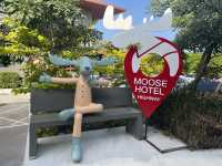 Moose Hotel Chiangmai