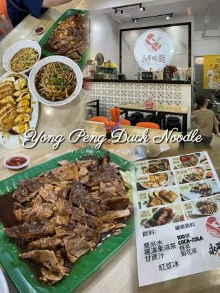 🇲🇾 Yong Peng Duck Noodles 🦆 👍🏻