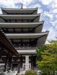 【福井県/勝山市】幻想的な世界が広がる☁️