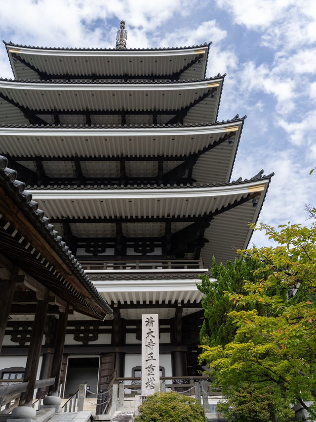 【福井県/勝山市】幻想的な世界が広がる☁️