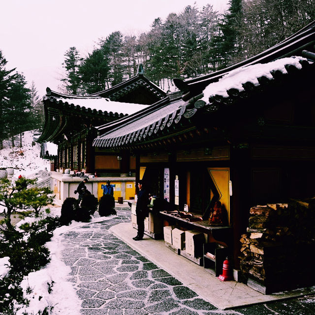 The Buddhist Temple