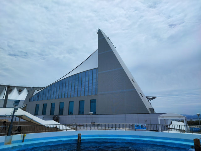 🌏 迷人的海之中道水族館：探索動物多樣性的奇妙旅程 🐬
