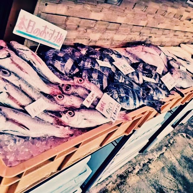 Sakana Terrence：舞鶴海鮮食客的天堂