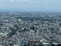 東京的免費美景：東京都廳的展望台 🌟