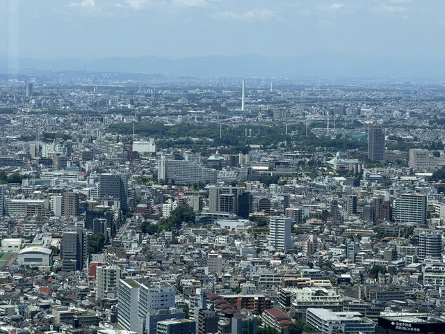 東京的免費美景：東京都廳的展望台 🌟