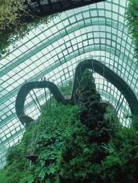 Cloud Forest ที่เที่ยวสิงคโปร์ห้ามพลาด