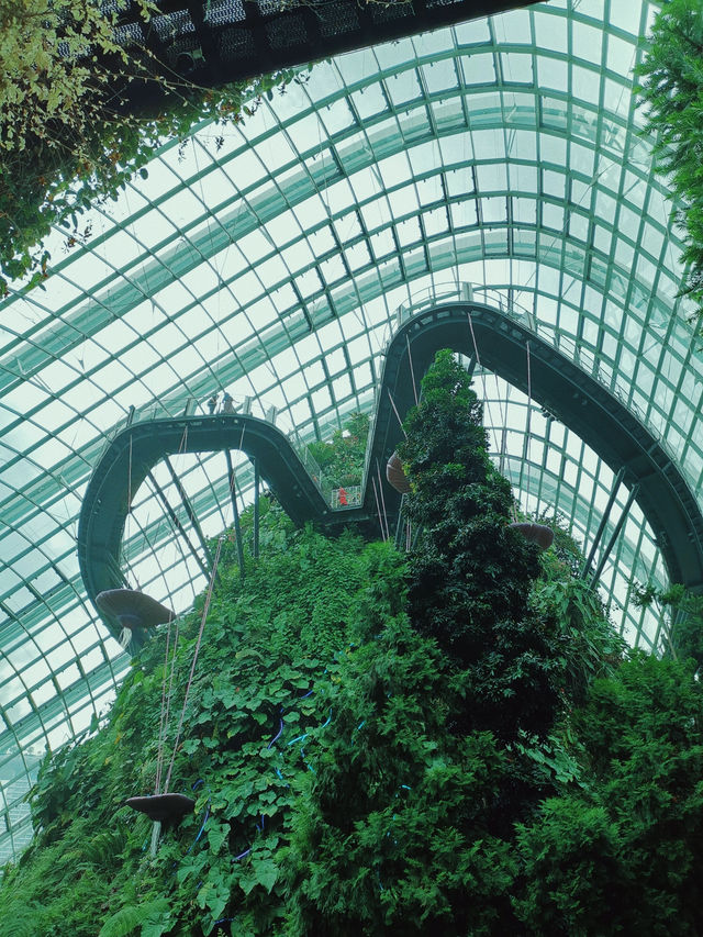 Cloud Forest ที่เที่ยวสิงคโปร์ห้ามพลาด
