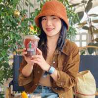 MIZU 24 CAFE - อ.ฮอด เชียงใหม่