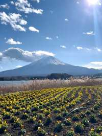 Oishi Park: Stunning Views of Mount Fuji Unobstructed