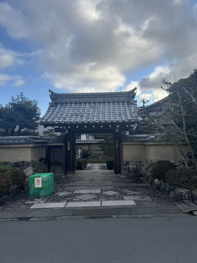 Relaxing Tenryu-ji Garden, Kyoto 🇯🇵