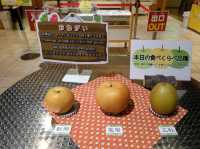 พิพิธภัณฑ์ลูกแพร์ (Nijisseiki Pear Museum)