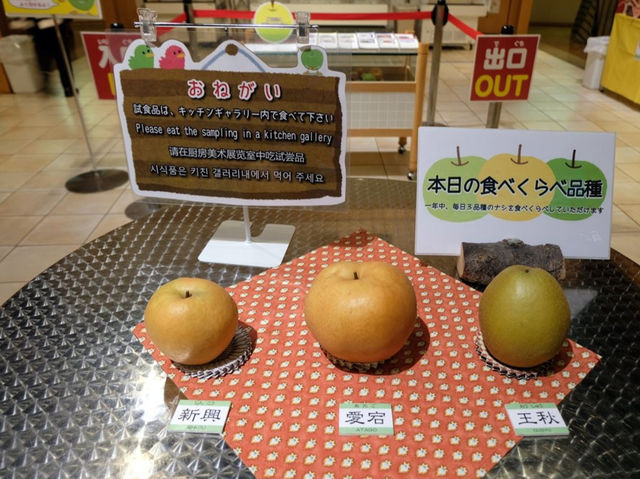 พิพิธภัณฑ์ลูกแพร์ (Nijisseiki Pear Museum)