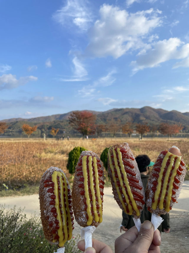 양평 두물머리 꼭 먹어야하는 명물 연잎핫도그🌭🍃