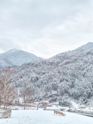 겨울엔 강원도 태백 여행 어때요? 환상적인 설경이 펼쳐지는 이곳