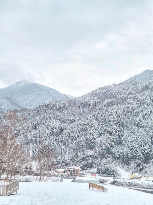 겨울엔 강원도 태백 여행 어때요? 환상적인 설경이 펼쳐지는 이곳