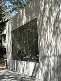 SHADE IN THE WOODS | 