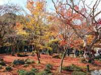 วัดเอ็นโคจิ (圓光寺, Enkōji)
