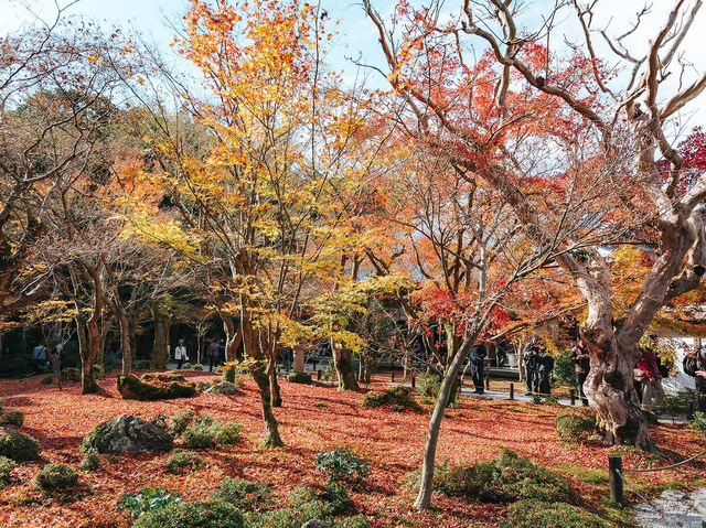 วัดเอ็นโคจิ (圓光寺, Enkōji)