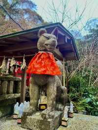 ⛩ 🦊✅佐助稲荷神社（鎌倉）攻略ガイド – 隠れたパワースポット！