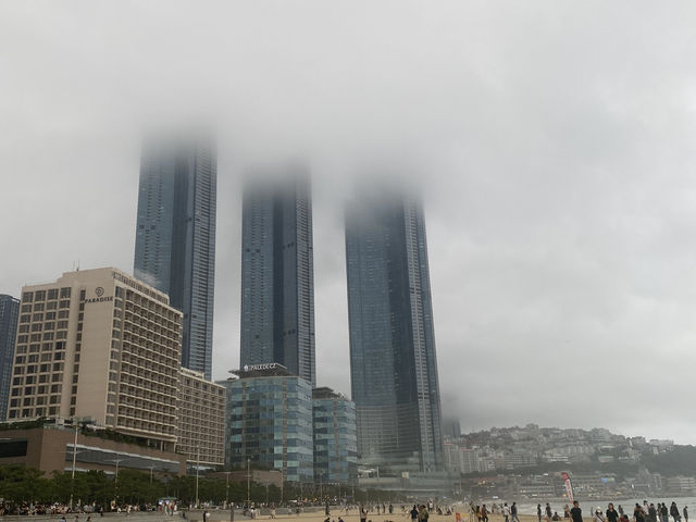 Busan trip