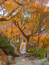 Tofukuji Temple หนึ่งในจุดชมใบไม้เปลี่ยนสีเกียวโต🍁