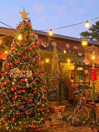 작은 정원 크리스마스가 가득한 카페🎄