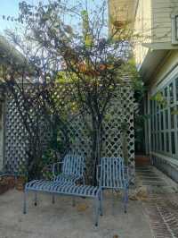 Neighbours cafe 