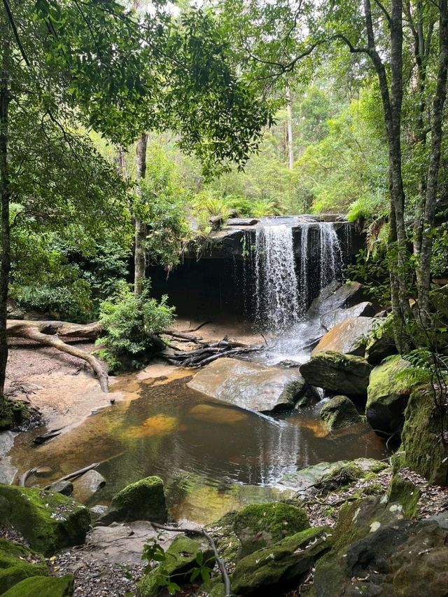 Exploring Blue Mountains National Park