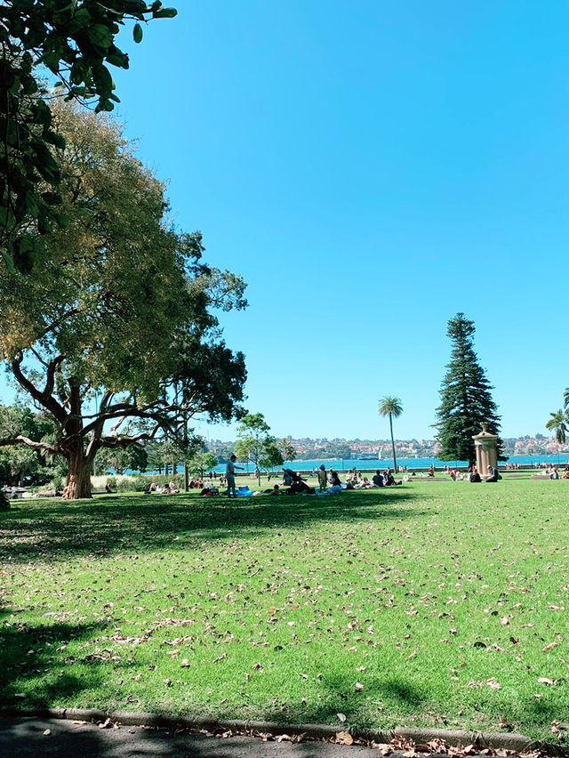 Royal Botanic Garden Sydney: A Green Escape by the Harbour