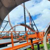 Great day at Dreamworld