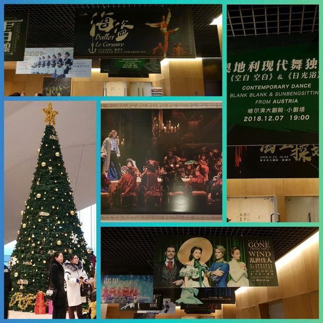 แจกแพลนเที่ยว🧳 Harbin Grand Theatreโรงละครฮาร์บิน