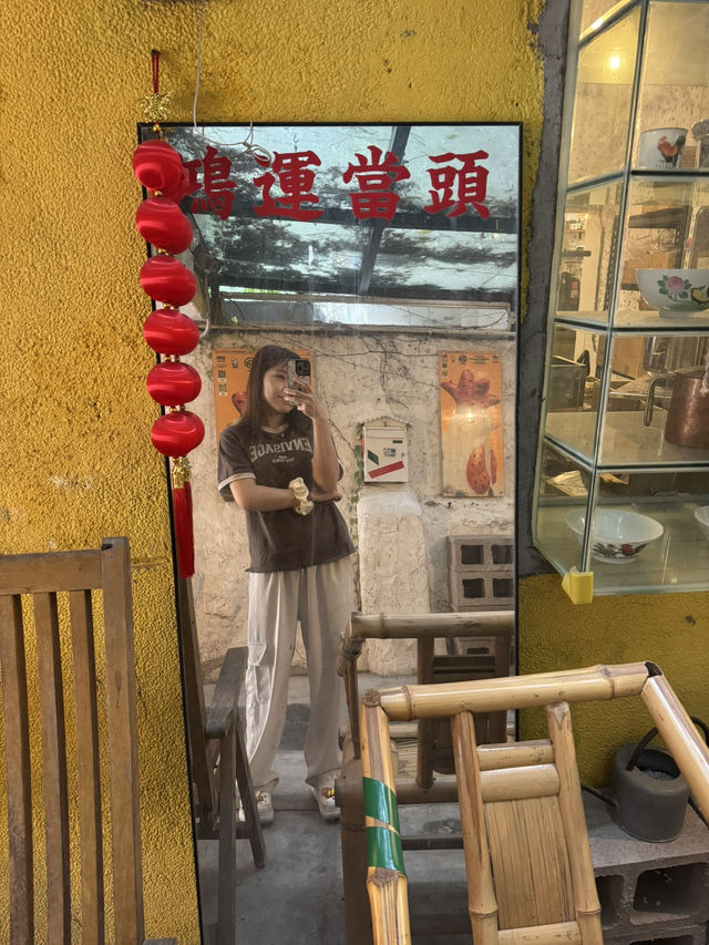 珠海第一cafe 麻雀與不叔 超活潑貓咪！