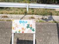 🍱 貓島 Lunch + 彩色小學 🐈