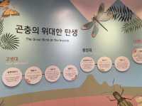 경상북도 상주시 곤충 생태 전시관 입니다.