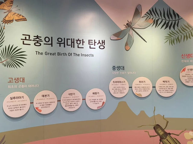 경상북도 상주시 곤충 생태 전시관 입니다.