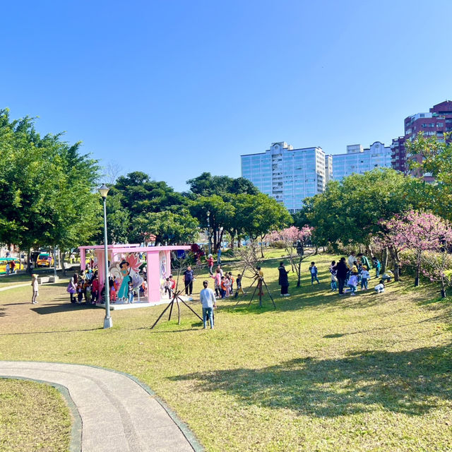 ชมดอกซากุระบานที่สวนเล่อฮวอ(Lohas Park)
