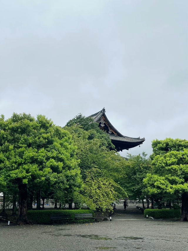 東寺：京都的最後一站，輕鬆悠閒的美好結尾！