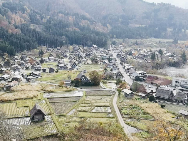 🏯✨ A Perfect Day Trip to Shirakawa-go: Japan’s Enchanting World Heritage Village! 🌿🏡