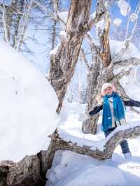  Snow valley
